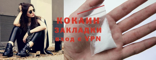 mdpv Богородск