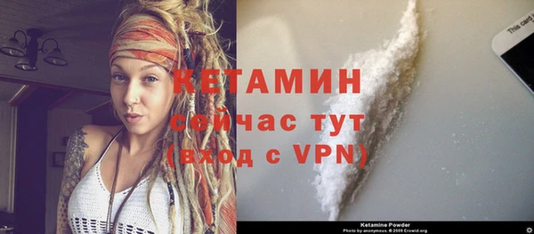 индика Бородино