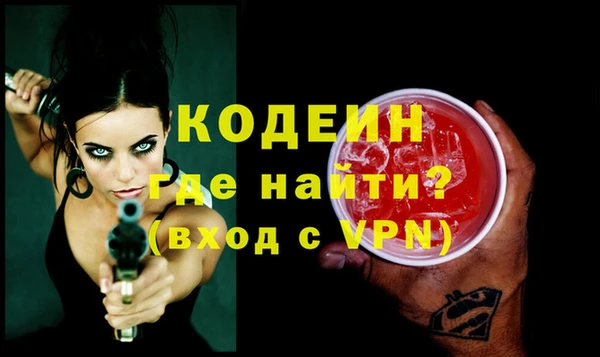 индика Бородино