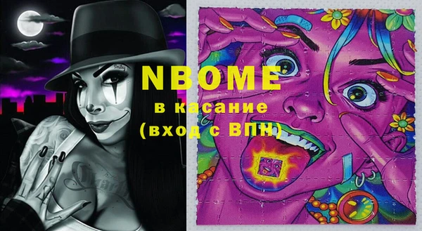 индика Бородино