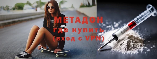 индика Бородино