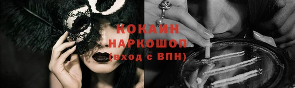 индика Бородино