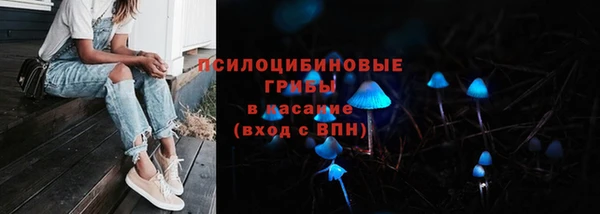 индика Бородино