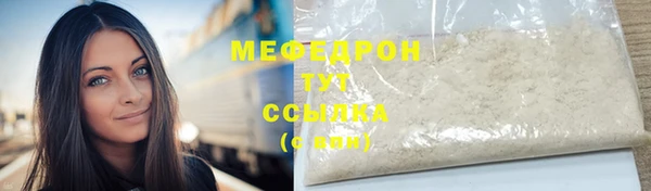 индика Бородино