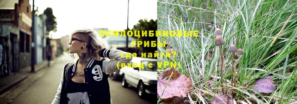 apvp Бугульма