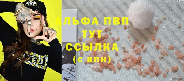 индика Бородино