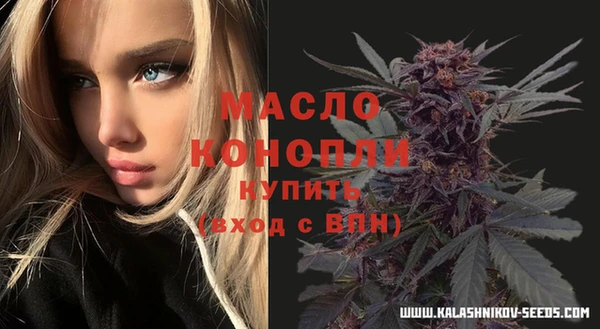 индика Бородино