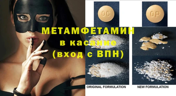 индика Бородино