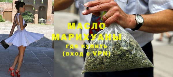 индика Бородино