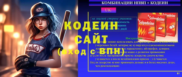 индика Бородино