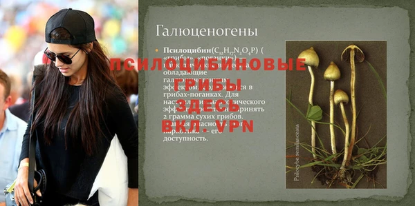 apvp Бугульма