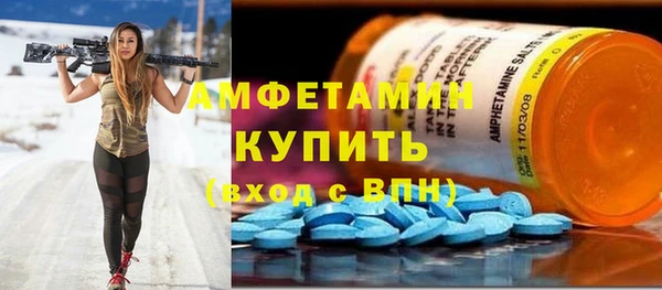 индика Бородино