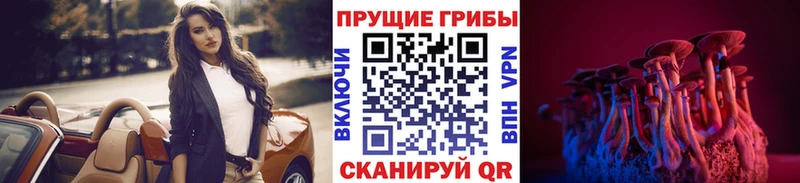 Галлюциногенные грибы Magic Shrooms  магазин  наркотиков  Бутурлиновка 